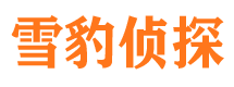 子洲外遇出轨调查取证